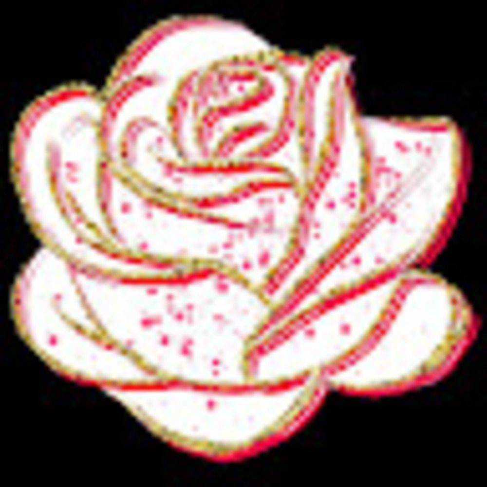 Meet your Posher, Kristaanndenoyer